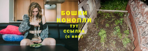 гидропоника Белоозёрский