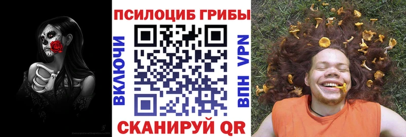 Галлюциногенные грибы мицелий  Кимовск 